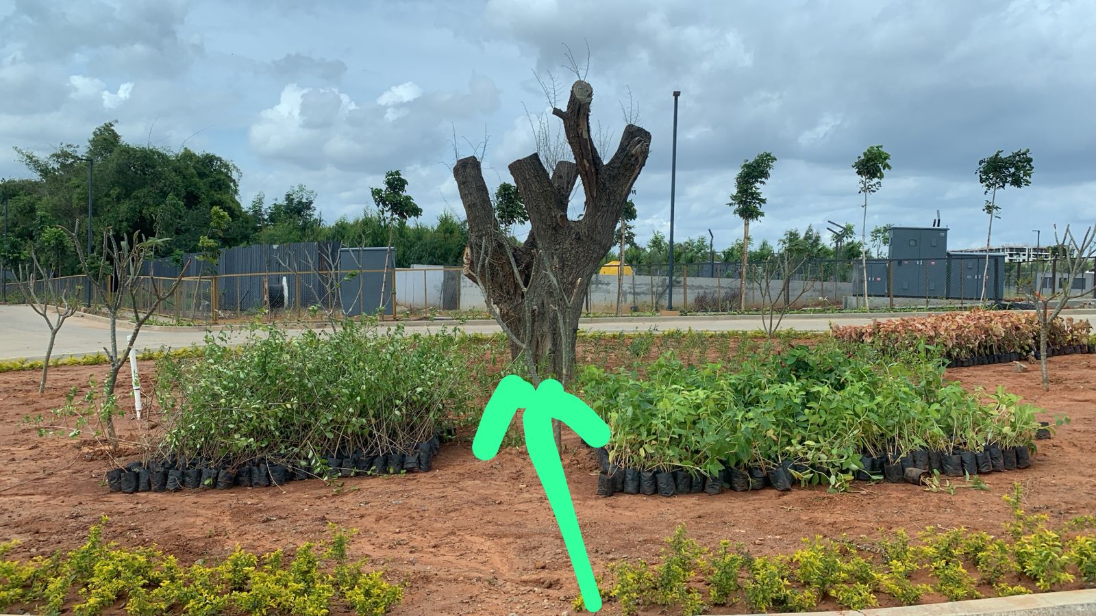 Assetz Melodies of Life - Plot for Sale