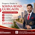 Property Dealer in Sohna Road Gurgaon