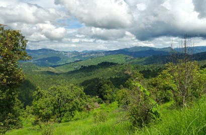 100 Nali Land for Sale in Silakhet (Ranikhet) : Himalaya View