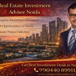 Real Estate Investment Advisor Noida